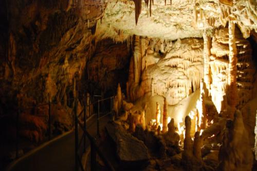 Jaskinia Postojna Cave (2)