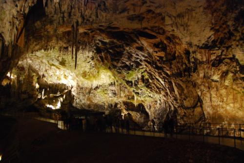 Jaskinia Postojna Cave (3)